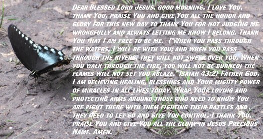 © Photo Artist Susan Ruth Robertson 090025006100 SX 400 (52).JPG