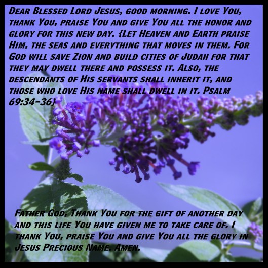 © Photo Artist Susan Ruth Robertson 090025006100 SX 400 (80) - Copy.JPG