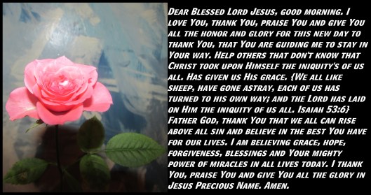 © Photo Artist Susan Ruth Robertson 090025006100 SX 400 IS (26) - Copy.JPG