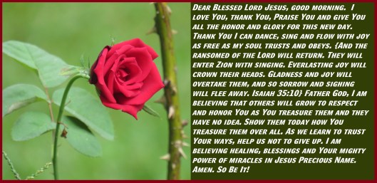 © Photo Artist Susan Ruth Robertson 090025006100 SX 400 IS (4) - Copy.JPG