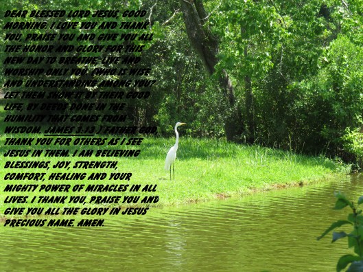 © Photo Artist Susan Ruth Robertson 090025006100 SX 400 IS (79) - Copy.JPG