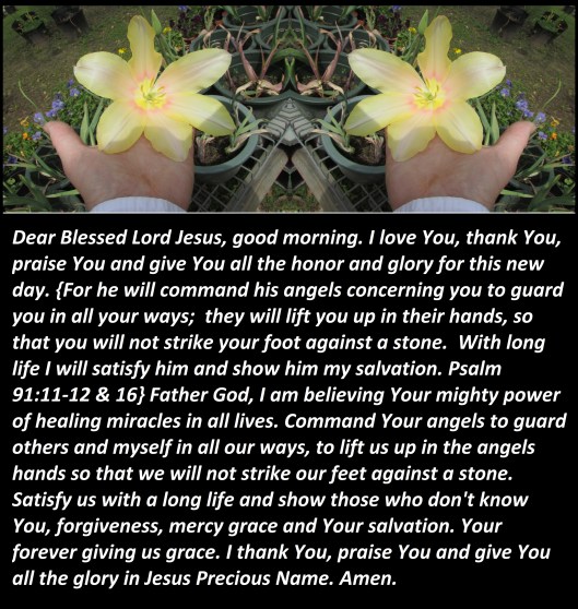 © Photo Artist Susan Ruth Robertson 090025006100 SX540HS 045.JPG