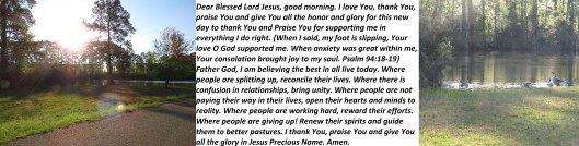 © Photo Artist Susan Ruth Robertson 090025006100 SX540HS 054.JPG