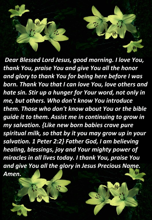 © Photo Artist Susan Ruth Robertson 090025006100 SX540HS 116.JPG