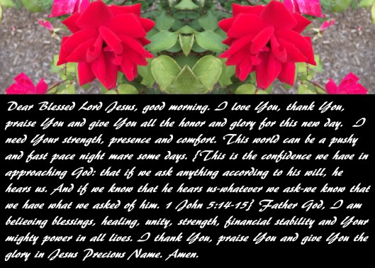 © Photo Artist Susan Ruth Robertson 090025006100 apple phone (66) - Copy.JPG
