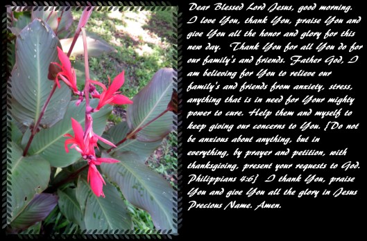 © Photo Artist Susan Ruth Robertson 090025006100 SX 400 (19) - Copy.JPG