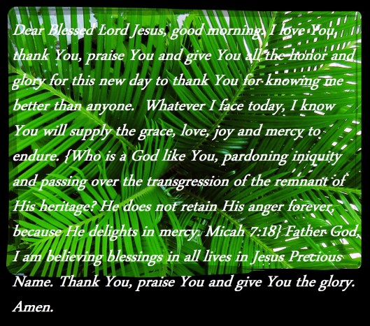 © Photo Artist Susan Ruth Robertson 090025006100 SX 400 (58) - Copy.JPG