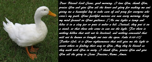 © Photo Artist Susan Ruth Robertson 090025006100 SX 540HS  (105).JPG