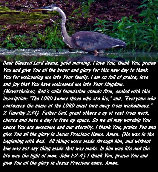 © Photo Artist Susan Ruth Robertson 090025006100 SX 540HS  (105).JPG