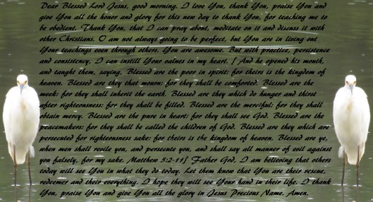 © Photo Artist Susan Ruth Robertson 090025006100 SX 540HS  (11) - Copy - Copy.JPG