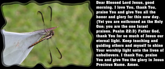 © Photo Artist Susan Ruth Robertson 090025006100 SX 540HS (117) - Copy.JPG