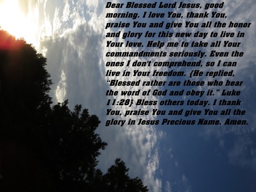© Photo Artist Susan Ruth Robertson 090025006100 SX 540HS (15).JPG