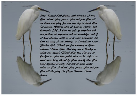 © Photo Artist Susan Ruth Robertson 090025006100 SX 540HS  (27) - Copy.JPG