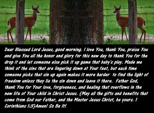 © Photo Artist Susan Ruth Robertson 090025006100 SX 540HS (51) - Copy - Copy.JPG