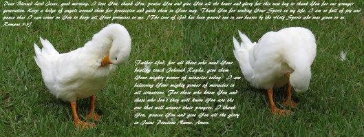 © Photo Artist Susan Ruth Robertson 090025006100 SX 540HS  (86) - Copy.JPG