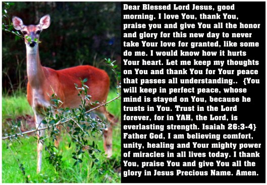 © Photo Artist Susan Ruth Robertson 090025006100 SX 540HS  (90) - Copy.JPG