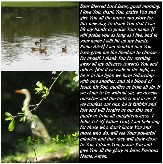 © Photo Artist Susan Ruth Robertson 090025006100 SX540HS 210 - Copy.JPG