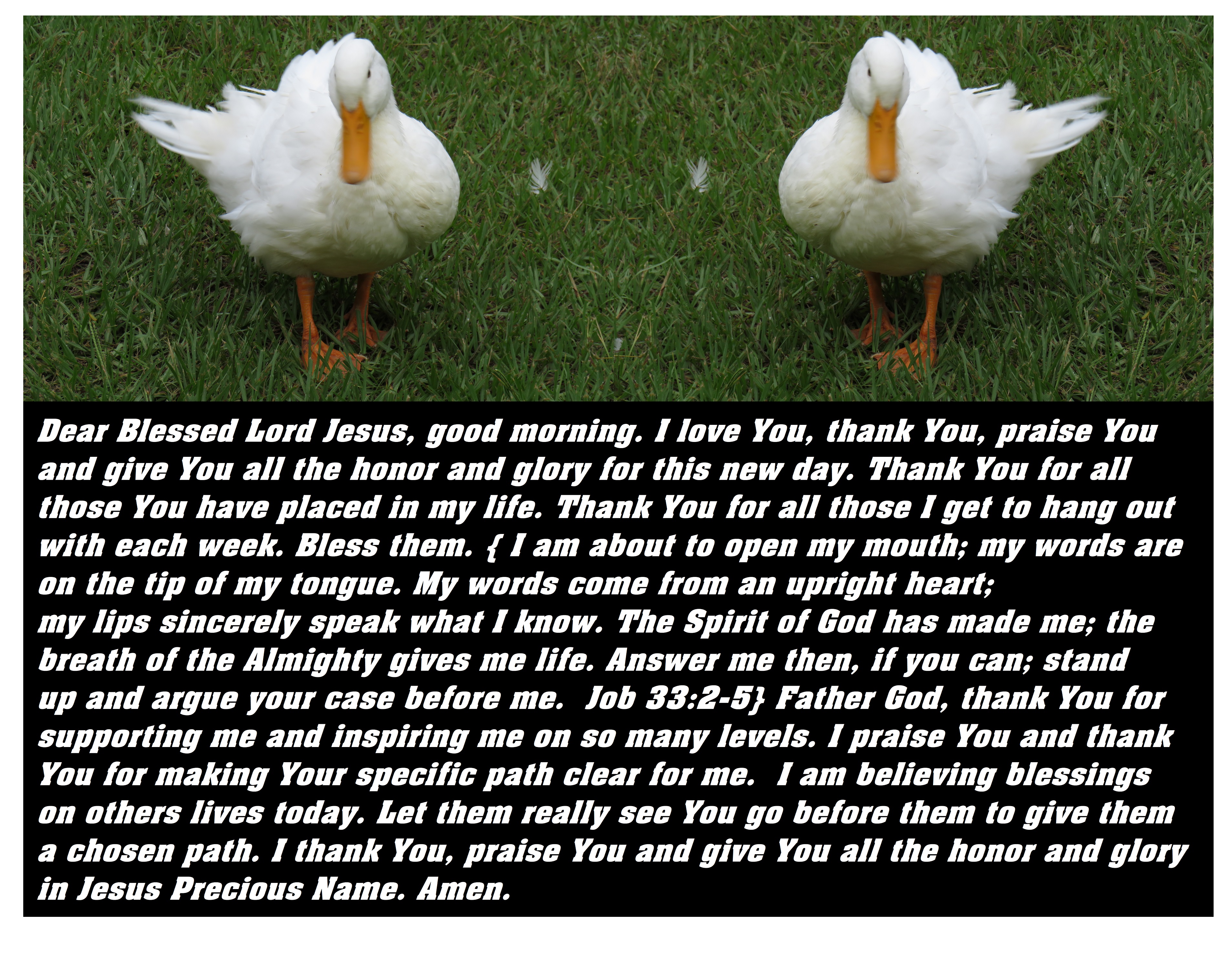 © Photo Artist Susan Ruth Robertson 090025006100 SX 540HS  (89).JPG