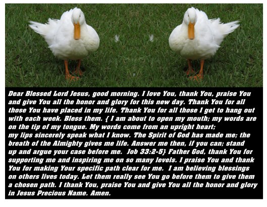 © Photo Artist Susan Ruth Robertson 090025006100 SX 540HS  (89).JPG